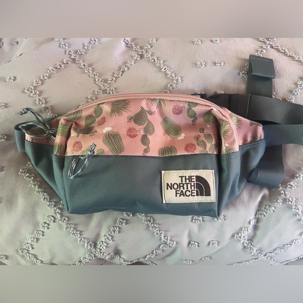 The North Face Pink and Blue Backpack